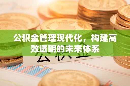 怀远公积金管理现代化，构建高效透明的未来体系