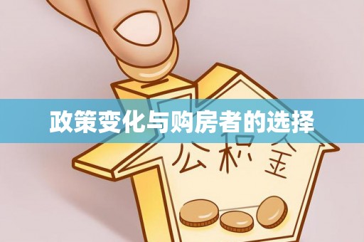 怀远政策变化与购房者的选择