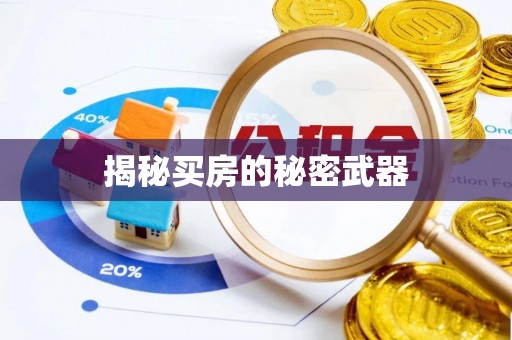 怀远揭秘买房的秘密武器