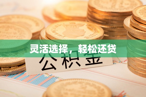 怀远灵活选择，轻松还贷