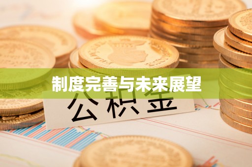 怀远制度完善与未来展望