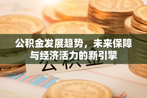 怀远公积金发展趋势，未来保障与经济活力的新引擎