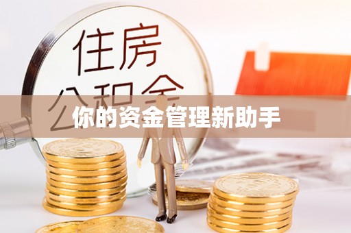 怀远你的资金管理新助手