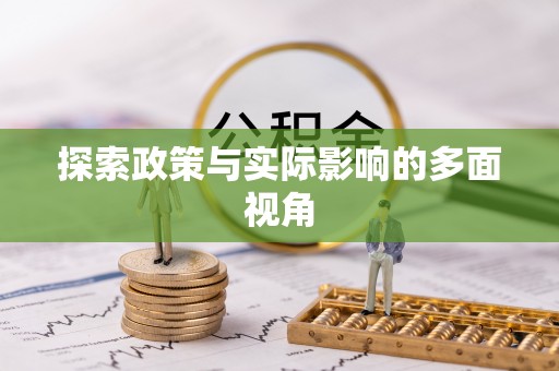 怀远探索政策与实际影响的多面视角