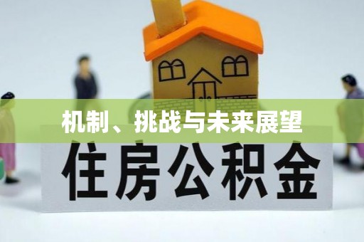 怀远机制、挑战与未来展望